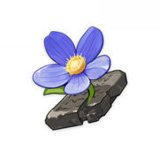 Tiny Miracle